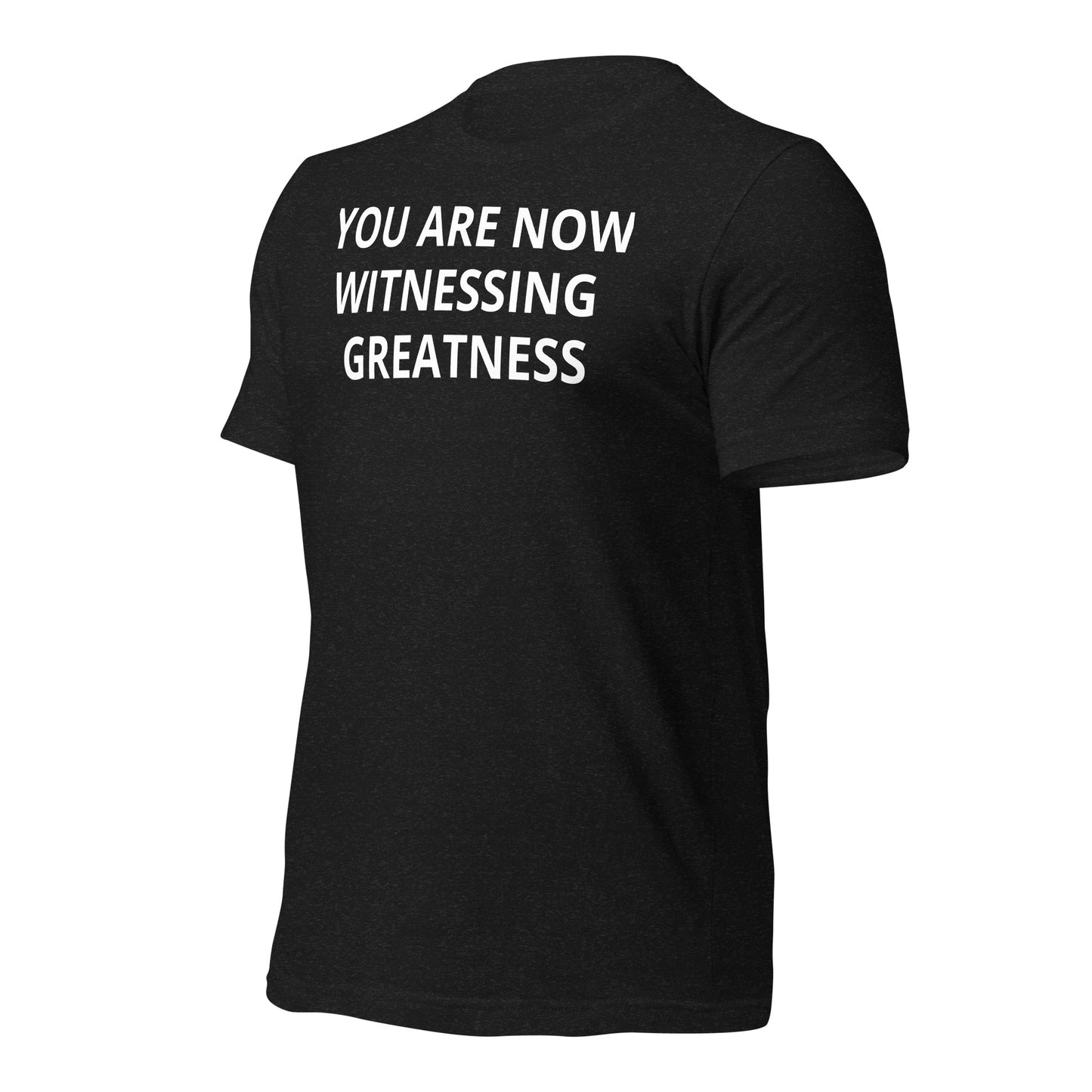 Greatness Unisex t-shirt