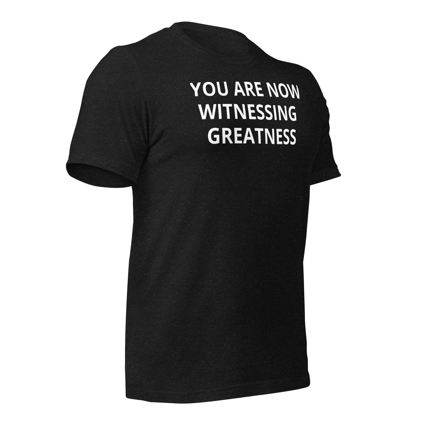 Greatness Unisex t-shirt