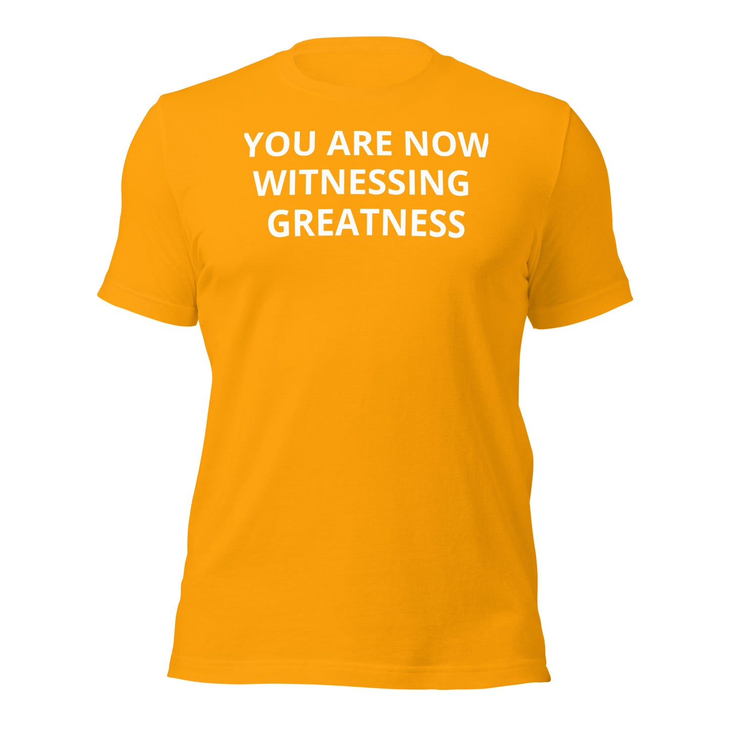 Greatness Unisex t-shirt