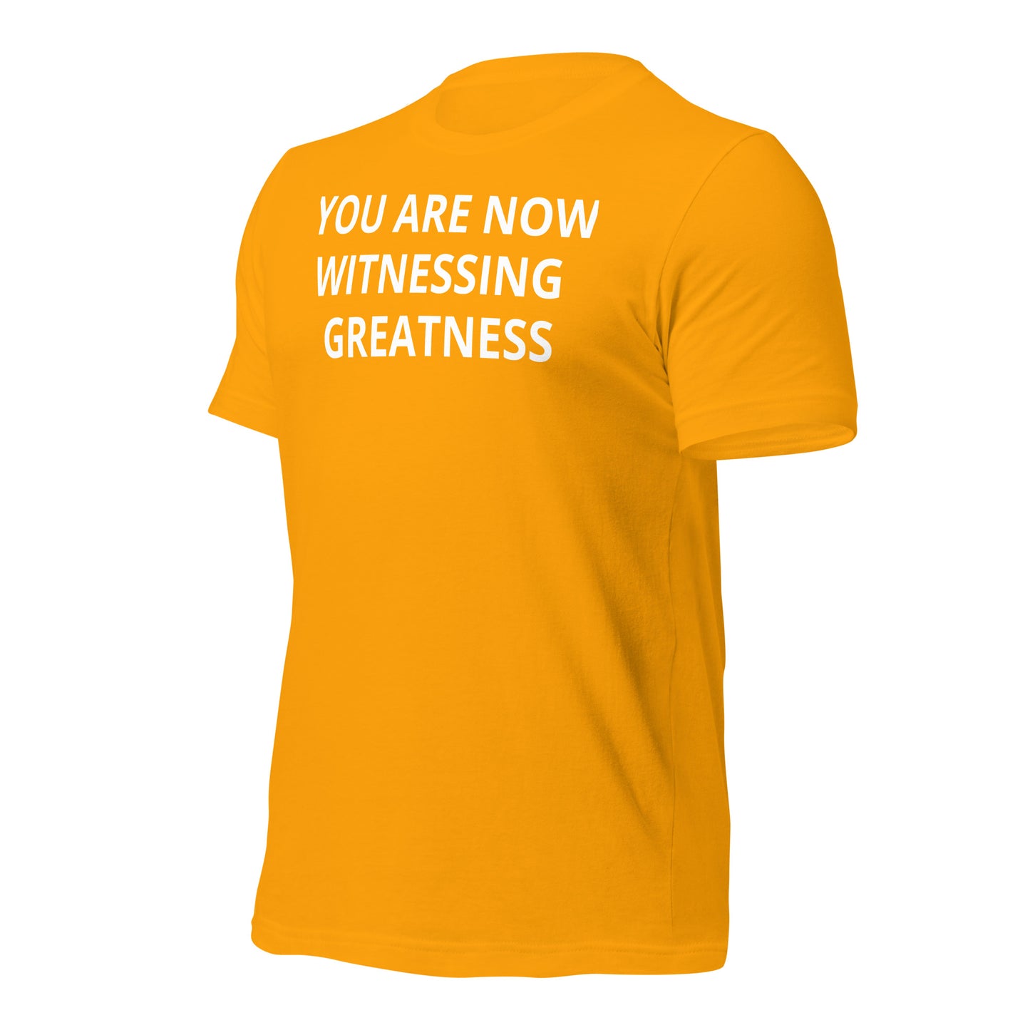 Greatness Unisex t-shirt