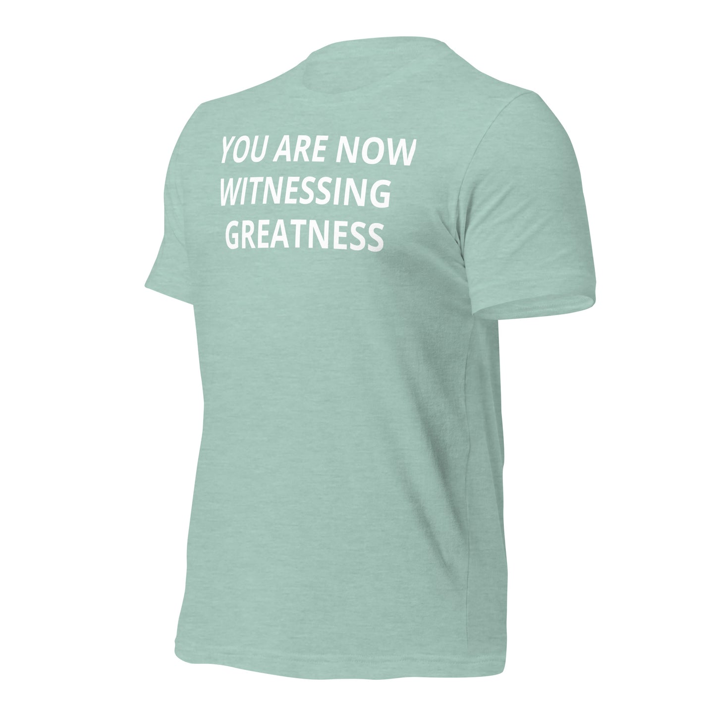Greatness Unisex t-shirt