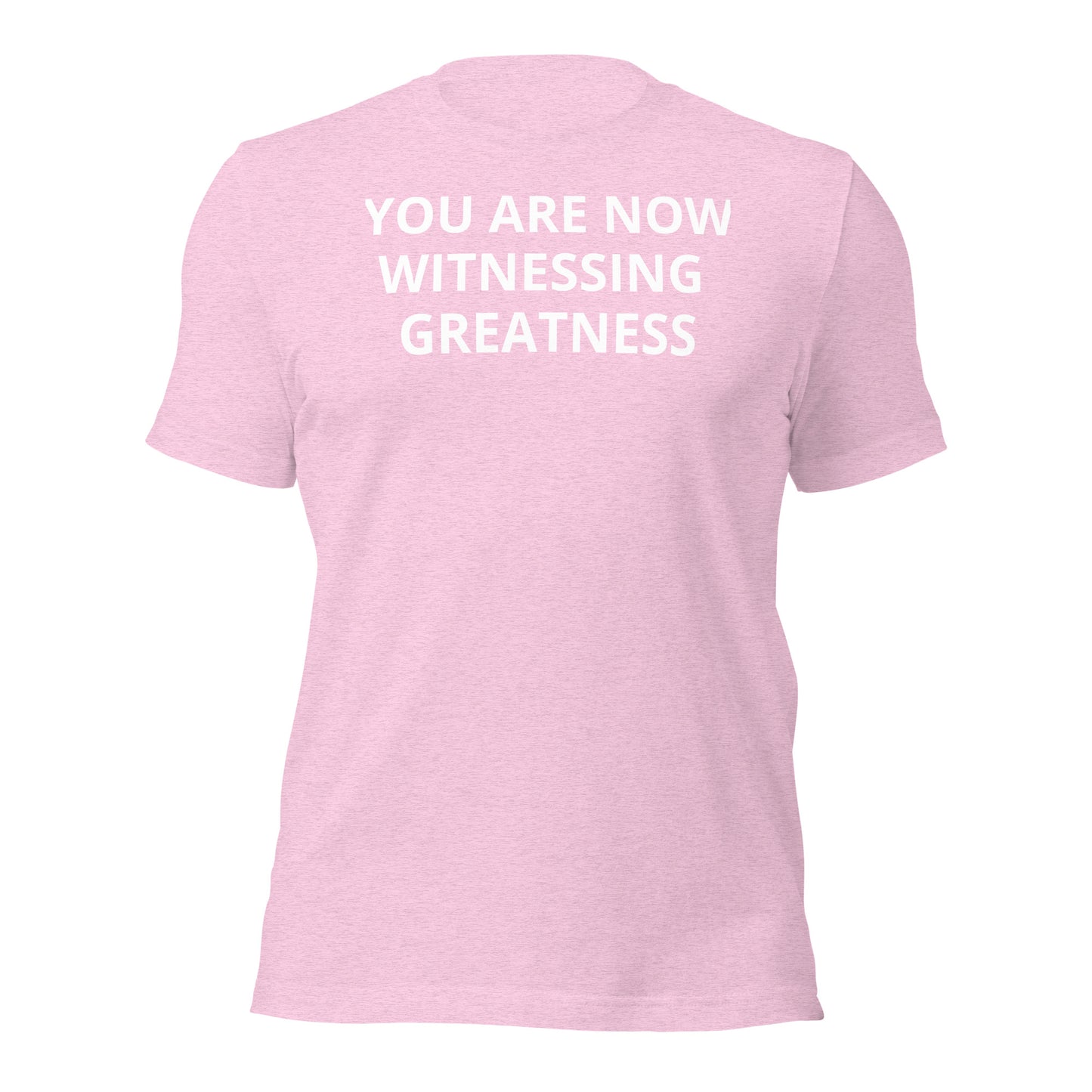 Greatness Unisex t-shirt