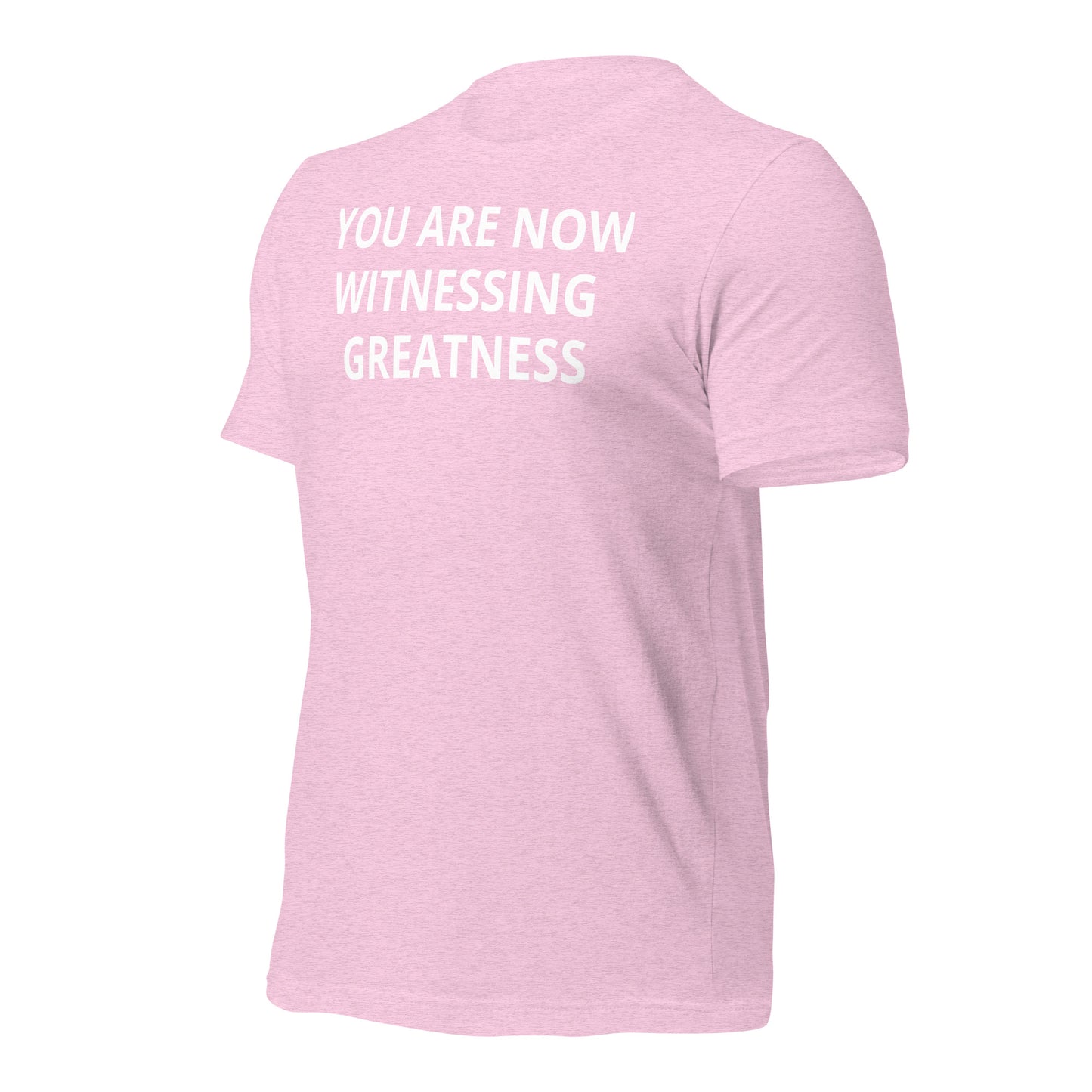 Greatness Unisex t-shirt
