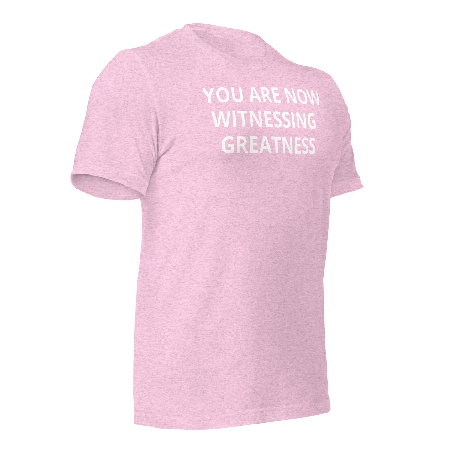 Greatness Unisex t-shirt