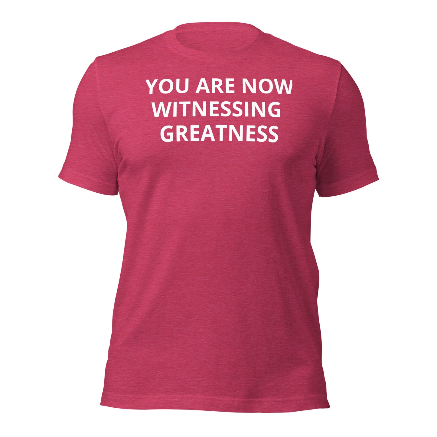 Greatness Unisex t-shirt