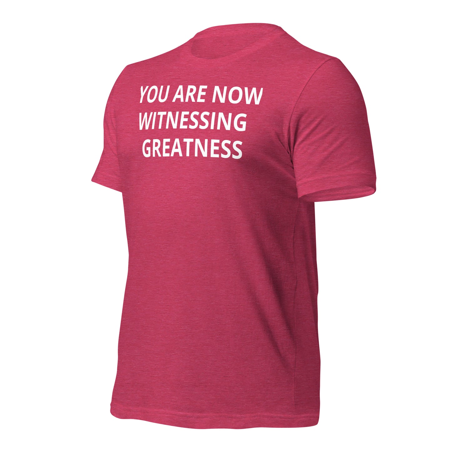 Greatness Unisex t-shirt