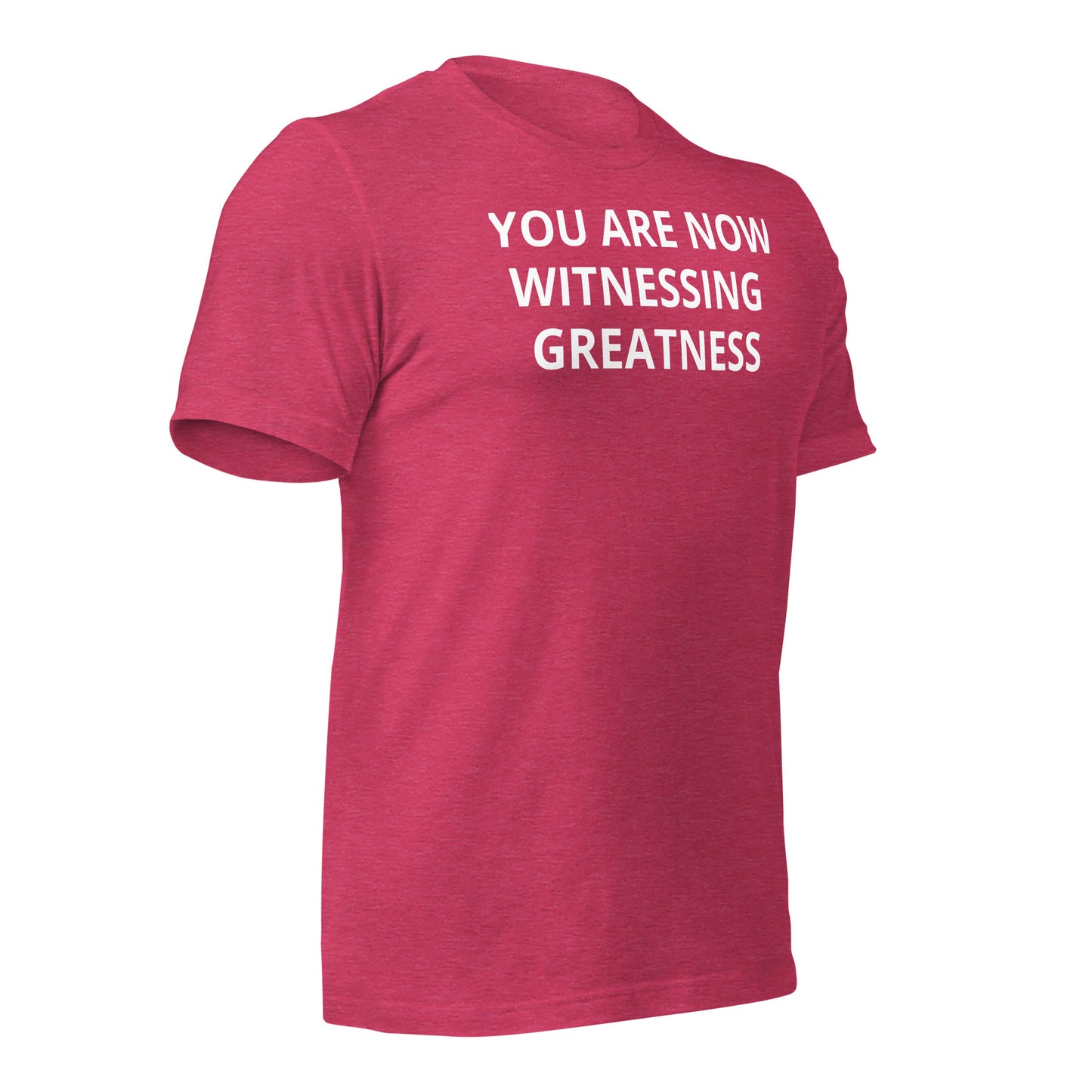 Greatness Unisex t-shirt
