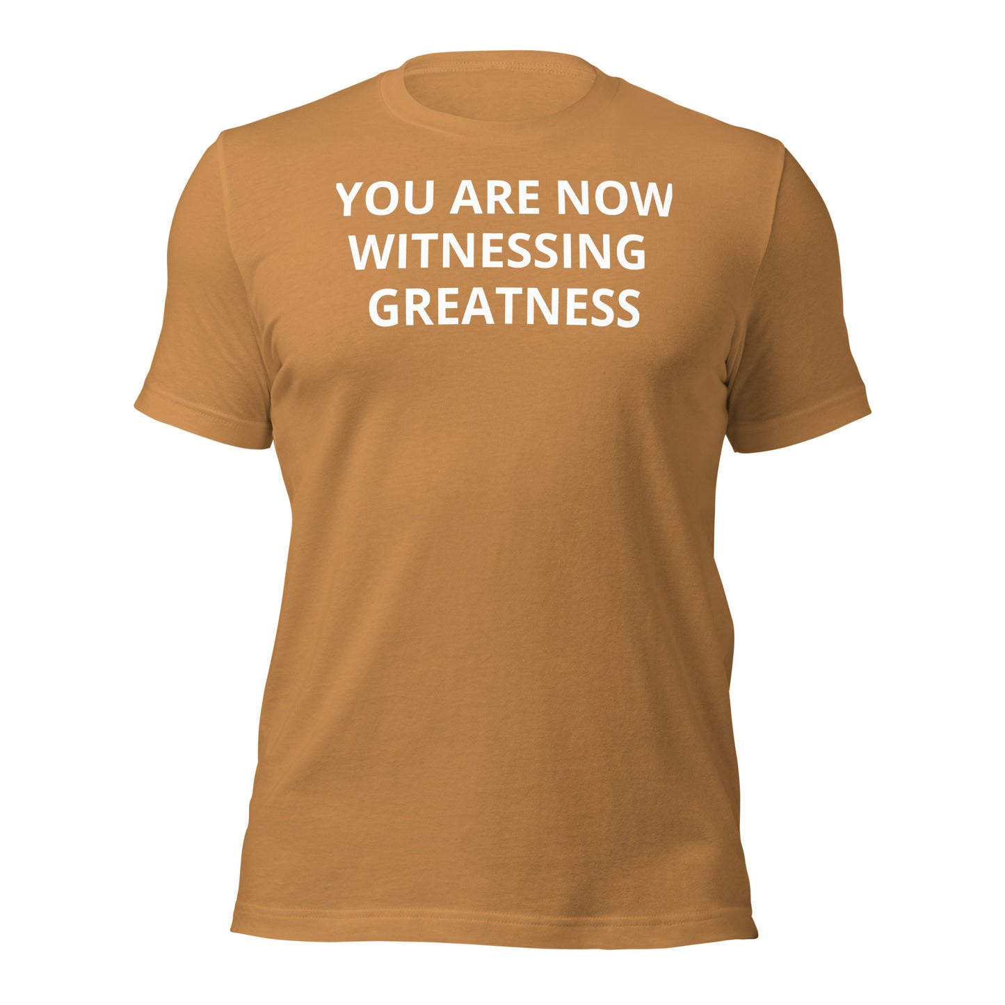 Greatness Unisex t-shirt