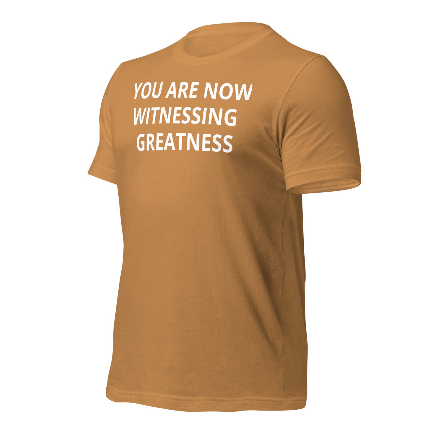 Greatness Unisex t-shirt
