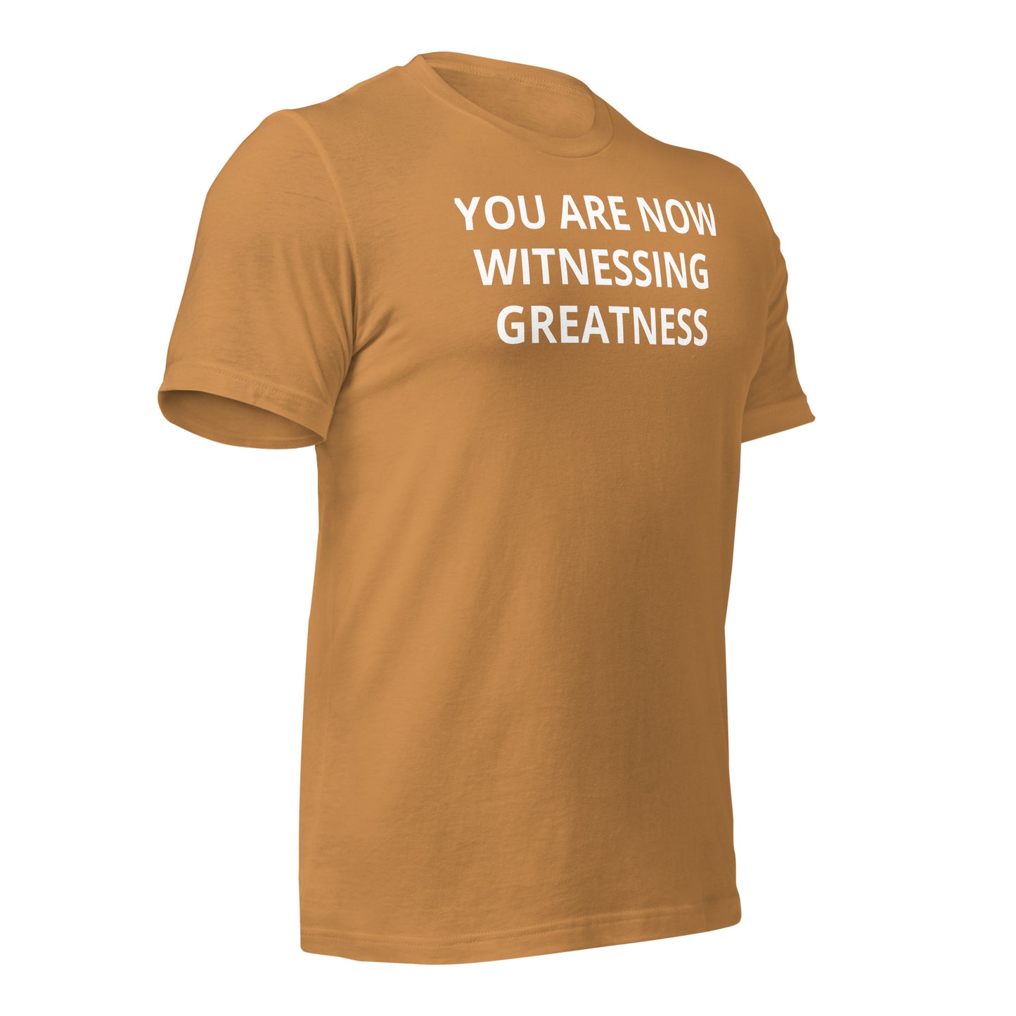 Greatness Unisex t-shirt